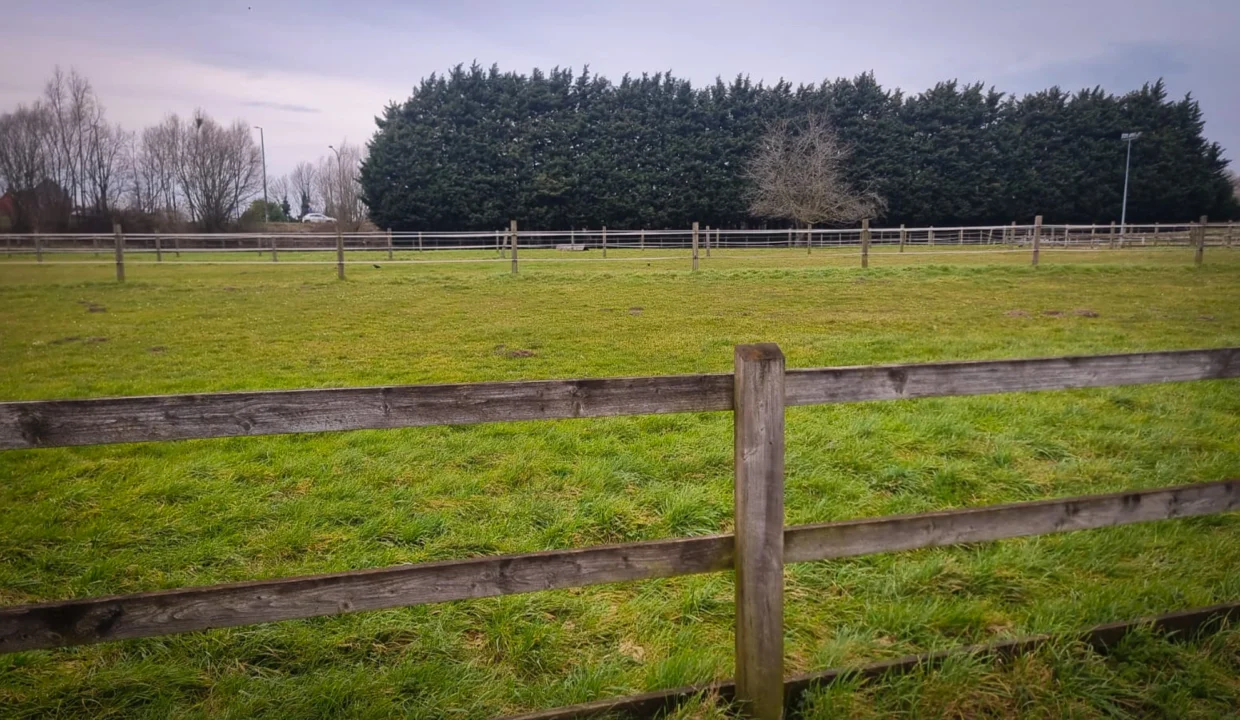 WhatsApp-Image-2025-02-22-at-20.03.24