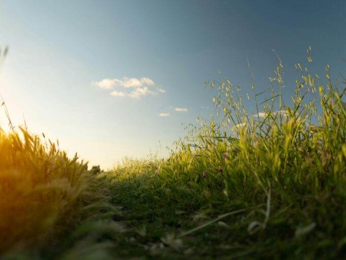 vivre à la campagne